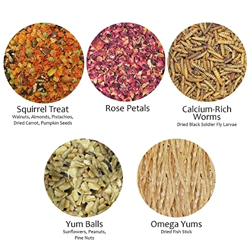 Squirrel Treat Bundle - Natural Healthy Assortment - Fruits, Veggies, Nuts, & Chews - Flying Squirrels, Ground Squirrels, Tree Squirrels, Chipmunks, Groundhogs, Prairie Dogs & Other Rodents - Image 2
