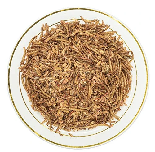 Appetizing Mealworms With Dried River Shrimp (8oz) All Natural 100% Non-GMO,Surf & Turf, Chicken, Fish, Ducks, Wild Birds, Turtles, Hamsters, Fish, And Hedgehogs