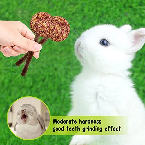 16 Pcs Rabbit Natural Timothy Hay Sticks Guinea Pig Natural Flowers Lollipop Chew Toys Timothy Hay Sticks Wood Molar Toys Small Animal Chew Treats For Bunny Hamsters Chinchillas Gerbils - Image 5