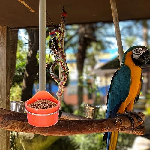 GANAZONO 2Pcs Bird Feeding Cups Hanging Parrot Pet Food Water Bowls Dish Hanging Pet Crate Bowl Coop Cup For Dog Cat Bird Small Animals - Image 4