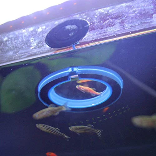 NGe 5Pcs Round Square Cone Fish Feeder Set, Floating Food Feeding Ring, Live Red Worm Feeder Funnel Plate, With Suction Cups (Black) - Image 4