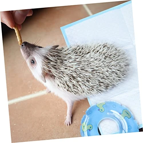 PATKAW 50pcs Chinchilla Bedding Guinea Pig Cages Indoor Disposable Underpads Cat Urine Pad Rabbit Potty Training Pads Dog Pads Extra Large Pet Supplies Bedpan Potty Pad Rabbit Cage Litter - Image 2