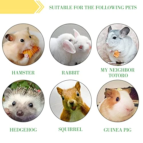 WYOMER 2lb Sweet Bamboo Chew Toy Natural Sweet Bamboo Animals Molar Chew Sticks Toys Pet Snacks Bamboo Sticks Treats - Image 5