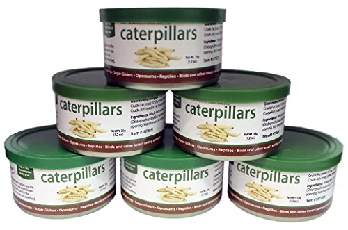 Canned Caterpillars (1.2 Oz. 6 Pack) - Healthy High Protein Insect Treat - Hedgehogs, Sugar Gliders, Reptiles, Wild Birds, Chickens, Lizards, Bearded Dragons, Skunks, Opossums, Fish, Amphibians