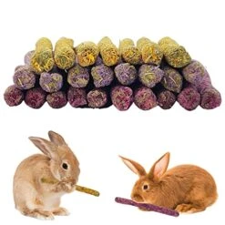 Hamiledyi 72PCS Timothy Hay Sticks Rabbit Chew Toys Mixed Natural Bunny Molar Sticks Guinea Pig Molar Rod Treats For Chinchilla Hamster And Other Small Animals Molars Snack Toys