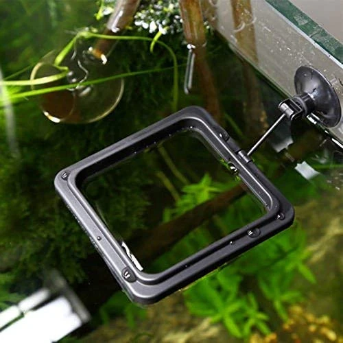 NGe 5Pcs Round Square Cone Fish Feeder Set, Floating Food Feeding Ring, Live Red Worm Feeder Funnel Plate, With Suction Cups (Black) - Image 6