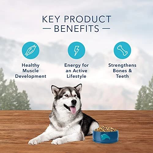 Blue Buffalo Wilderness High Protein, Natural Adult Dry Dog Food, Duck 24-lb - Image 4