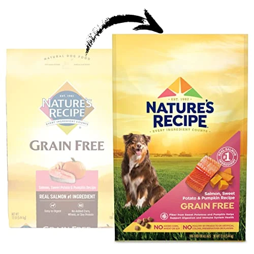 Nature's Recipe Grain Free Dry Dog Food, Salmon, Sweet Potato & Pumpkin Recipe, 12 Pound Bag, Easy To Digest - Image 2