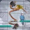 JYDQM 3Pcs/Set Pet Bird Toys Parrot Chew Grinding Claw Stand Perches Cage Cockatiel Parakeet Hanging Toy Parrot Rope