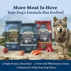 Blue Buffalo Wilderness Rocky Mountain Recipe High Protein Natural Adult Dry Dog Food, Red Meat With Grain 13 Lb Bag
