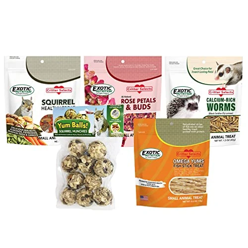 Squirrel Treat Bundle - Natural Healthy Assortment - Fruits, Veggies, Nuts, & Chews - Flying Squirrels, Ground Squirrels, Tree Squirrels, Chipmunks, Groundhogs, Prairie Dogs & Other Rodents