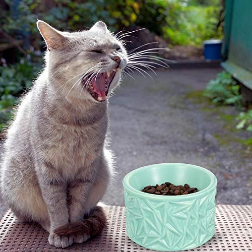 Pet Bowl Neck Protection Pet Feeder Ceramic Cat Bowl Cat Food Bowl Anti- Skid Feeder - Image 3