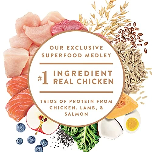 NUTRO ULTRA Adult High Protein Natural Dry Dog Food With A Trio Of Proteins From Chicken, Lamb And Salmon, 15 Lb. Bag - Image 3