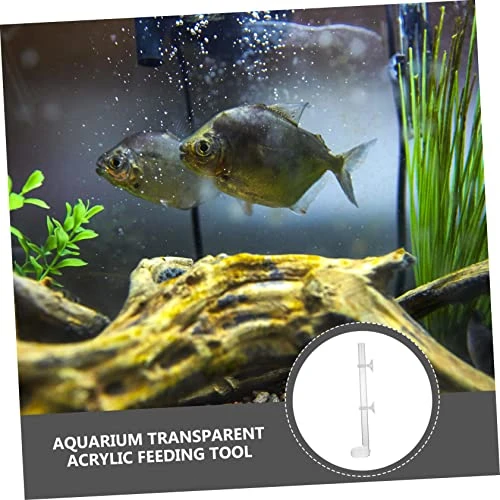 NOGRAX 1 Set Fish Tank Feeding Tube Clear Glass Clear Tray Auto Feeder Fish Feeder Tube Water Food Dish Acrylic Shrimp Feeding Tube Fish Feeding Supply Feeding Tube With Sucker Automatic Feeder (Colo - Image 4