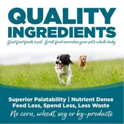 NutriSource Adult Dog Food, Made With Chicken And Rice, With Wholesome Grains, 15LB, Dry Dog Food