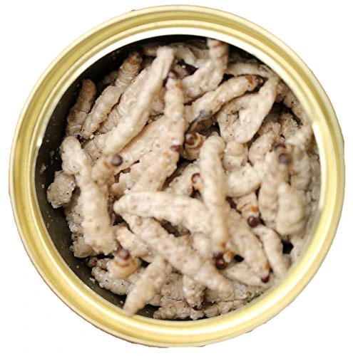 Canned Caterpillars (1.2 Oz. 6 Pack) - Healthy High Protein Insect Treat - Hedgehogs, Sugar Gliders, Reptiles, Wild Birds, Chickens, Lizards, Bearded Dragons, Skunks, Opossums, Fish, Amphibians - Image 2