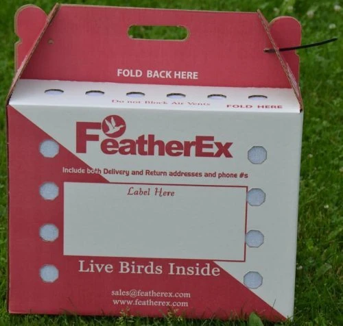 FeatherEx 3 Pack Premier Shipping Boxes - Image 2