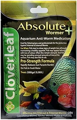 WORMER Plus - Freshwater And Saltwater Fish Powder Medication. Dewormer For Fish With Parasites And Flukes. 20G - Treats 2400 GALLONS - Image 6