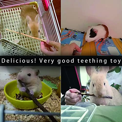 CHUHUAYUAN Natural Apple Sticks, 500g Treats Food For Small Animals, Chew Toys For Chinchilla Guinea Pigs Rabbit Squirrel Hamster Bunny - Image 5