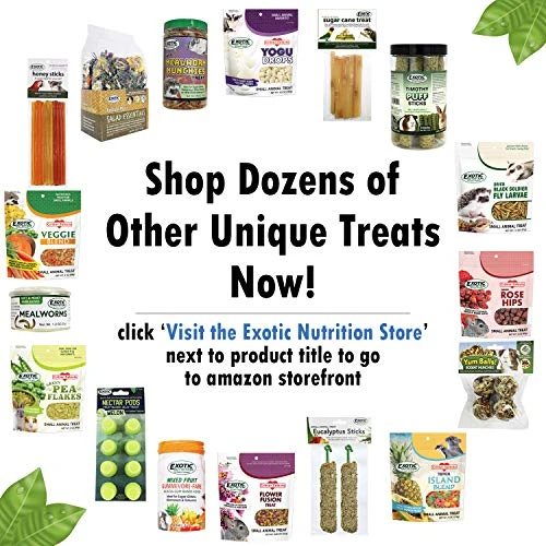 Hibiscus Flower Treat (8oz)- Healthy Natural Dried Flower Herbivore Treat - Chinchillas, Guinea Pigs, Rabbits, Prairie Dogs, Degus, Hamsters, Rats, Squirrels, Sugar Gliders & Other Small Pets - Image 3