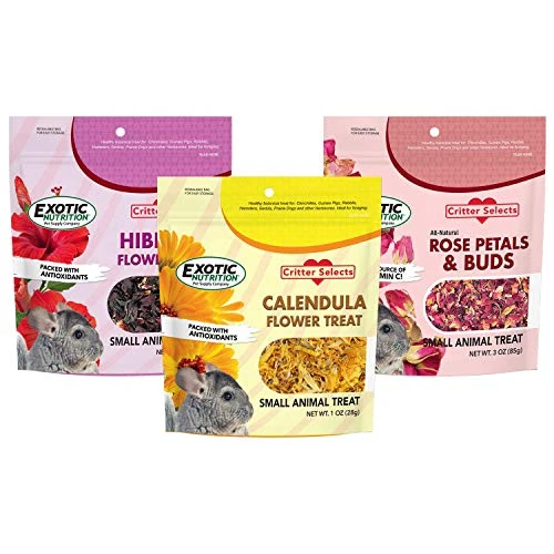 Exotic Nutrition Flower Treat 3 Pack - Healthy Assortment - Hibiscus, Calendula, Rose - For Squirrels, Guinea Pigs, Rabbits, Chinchillas, Prairie Dogs, Degus, Hamster, Gerbils, & Other Herbivores - Image 2