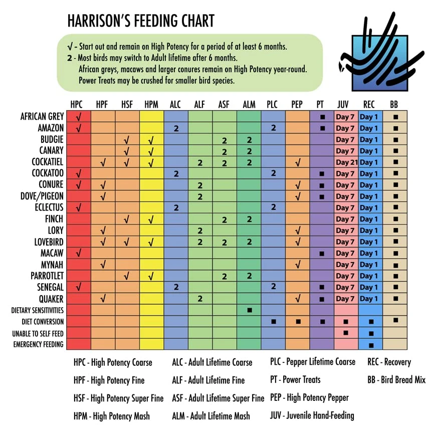 Harrison's Bird Food Power Treats With Red Palm Fruit Oil, 1 Lb. 454g - Image 3