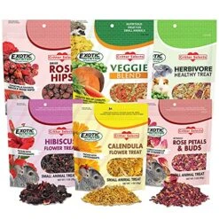 Exotic Nutrition Herbivore Treats 6 Pack - Healthy Assortment Small Animal Pet Treat - Squirrels, Guinea Pigs, Rabbits, Chinchillas, Prairie Dogs, Degus, Hamsters, Gerbils, Herbivores
