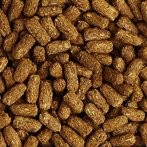 Mazuri | Tortoise LS Diet For African Spurred/Sulcata, Desert, Egyptian, Galapagos, Gopher, Greek, Leopard, Pancake, Radiated Or Yellow-Footed Tortoise, | 12 Ounce (12 OZ) Bag - Image 3