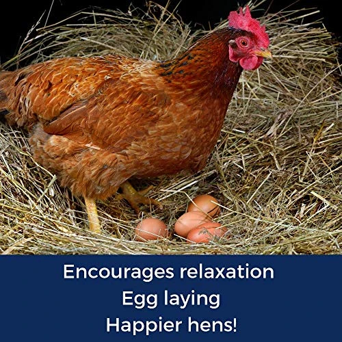 Pampered Chicken Mama Backyard Chicken Nesting Herbs For Great Eggs 10 Oz - All-Natural Backyard Chicken Feed Supplies - Hen Treats For The Best Eggs Ever - High Calcium Supplement For Chickens - Image 5