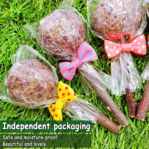16 Pcs Rabbit Natural Timothy Hay Sticks Guinea Pig Natural Flowers Lollipop Chew Toys Timothy Hay Sticks Wood Molar Toys Small Animal Chew Treats For Bunny Hamsters Chinchillas Gerbils - Image 3