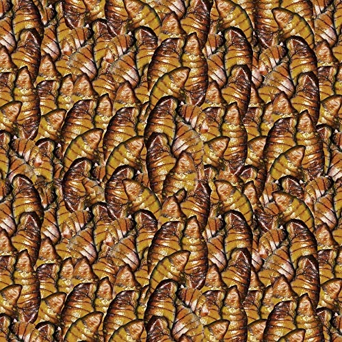 Sera 7145 Koi Nature 11.6 Oz 1.000 Ml Pet Food, One Size - Image 2