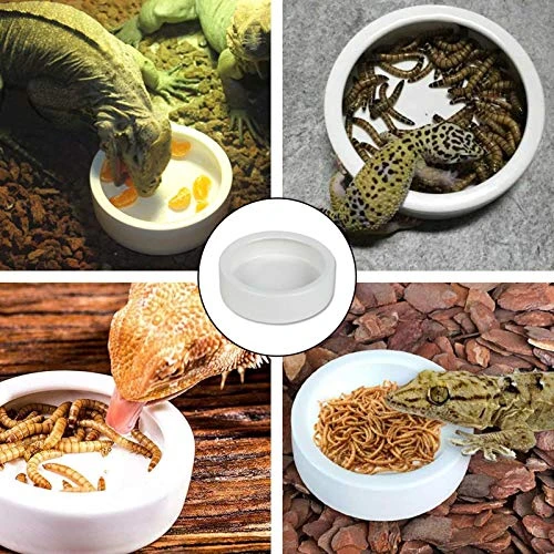 Ceramic Reptile Food And Water Bowl Set Of 3,Mini Reptile Feeding Dish,Worm Dish For Lizard Anoles Bearded Dragons(with Tweezer) - Image 5