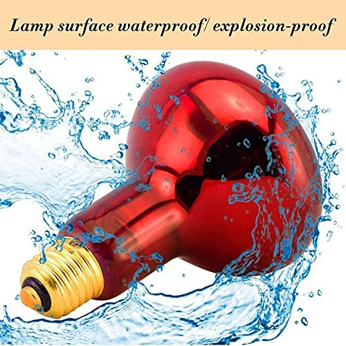 BONGBADA 6 Pack Heat Lamp Bulb R95 75 Watt Full Red Infrared Glass Lamp Bulb For Food Service, Brooder Bulb,Chicks, Pet, Bathroom,Light Therapy,Reptiles And Amphibian Use E26 Base - Image 5
