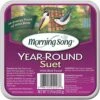 Morning Song Year-Round Suet